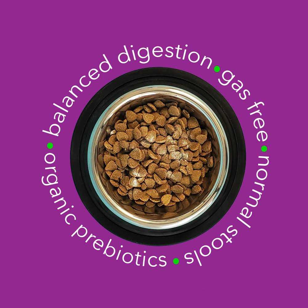 Digestive Aid G95085