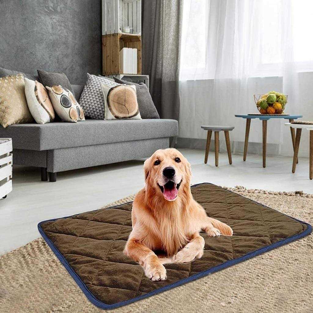 Pet Warming Pad B885675