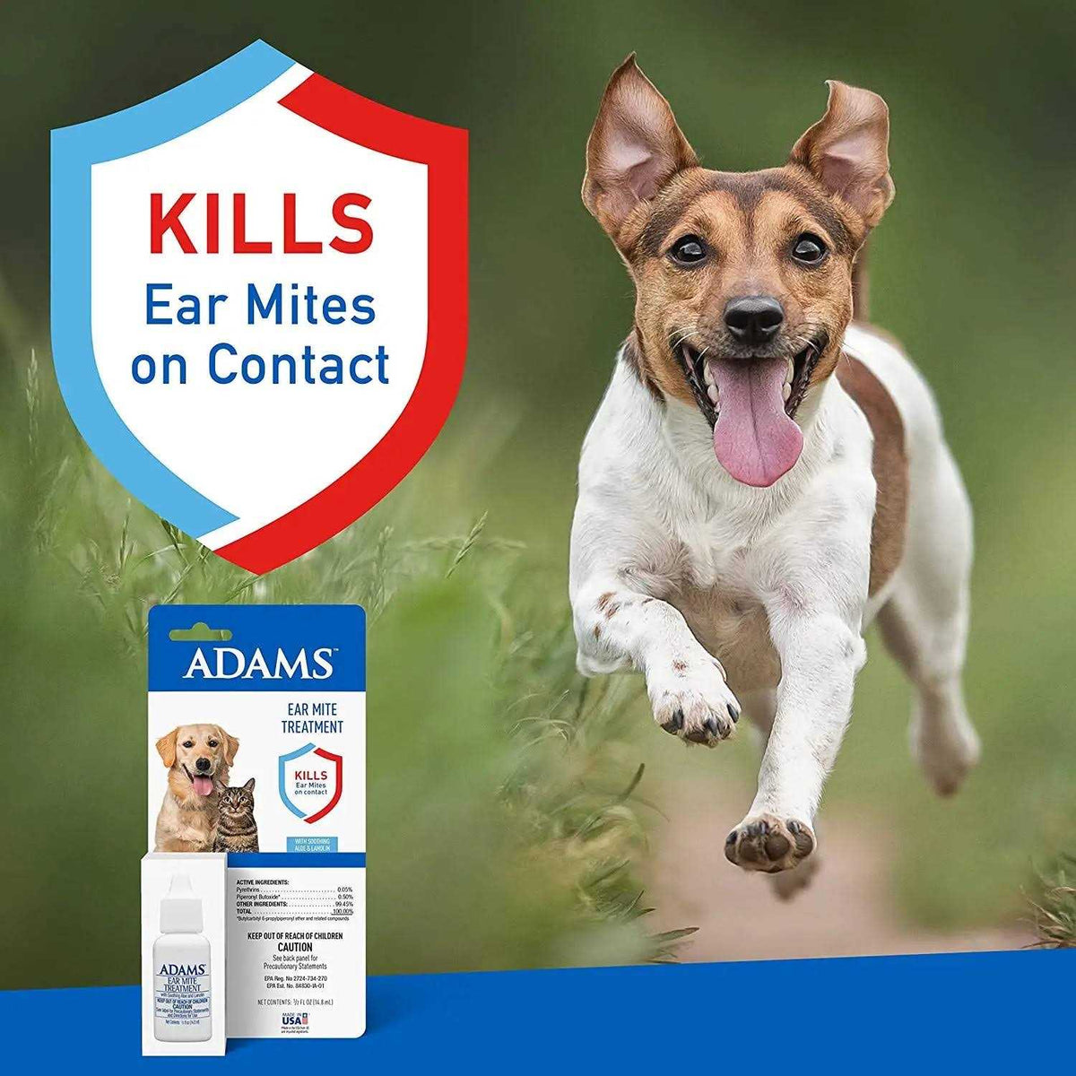 Ear Mite Treatment R64639
