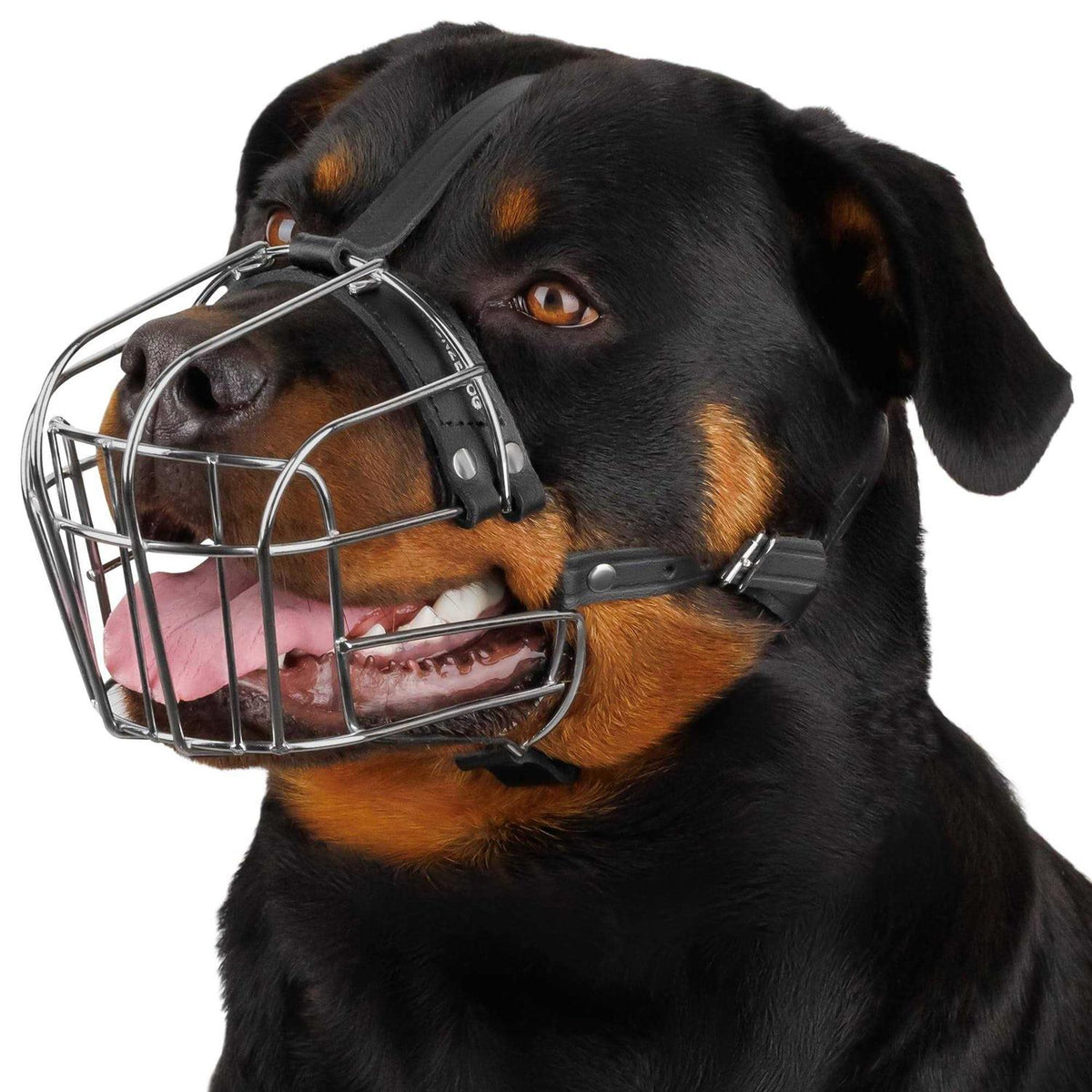 Dog Muzzle Wire Basket Adjustable Leather Straps O574