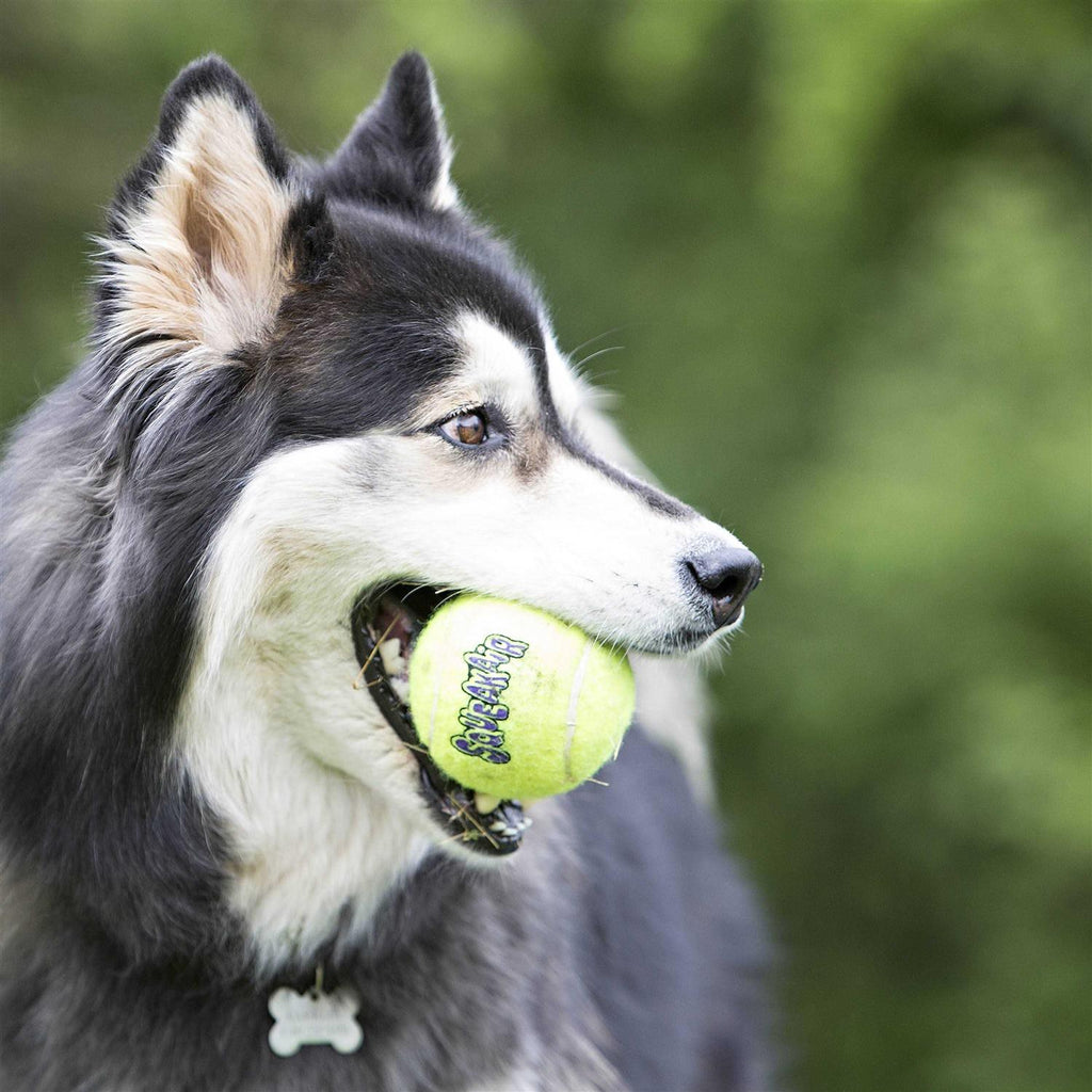 Ball I857427