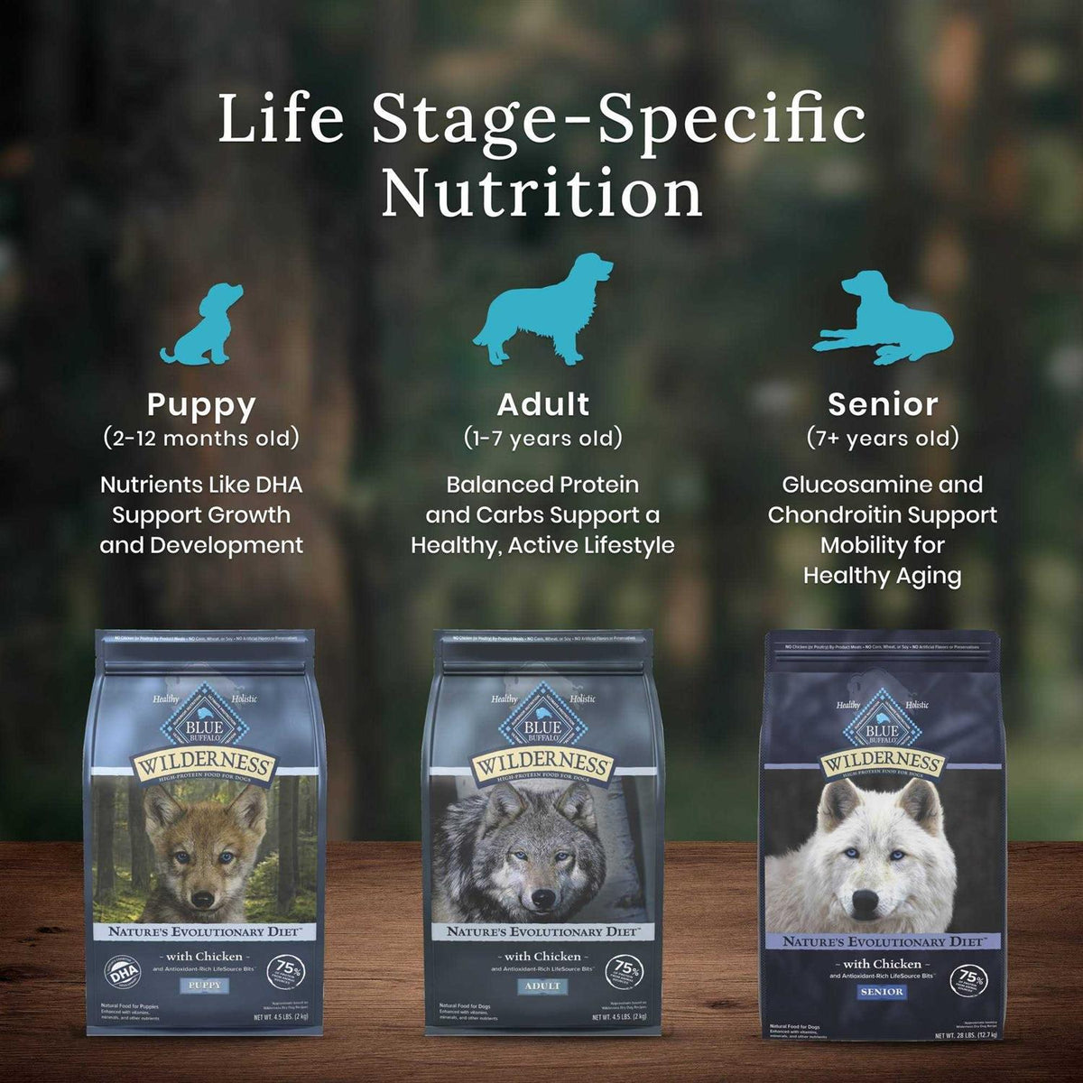 Dog Food U923860