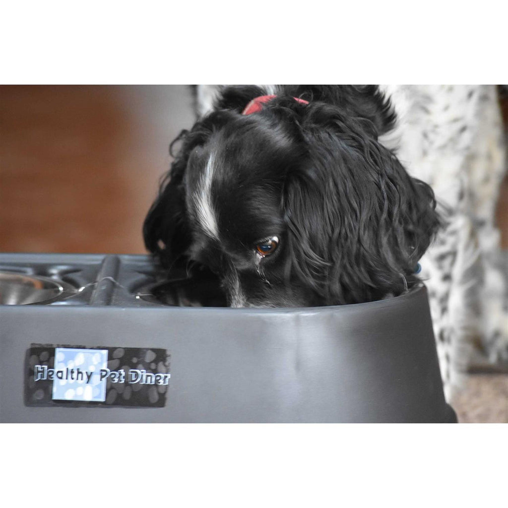 Elevated Dog Feeder I377151