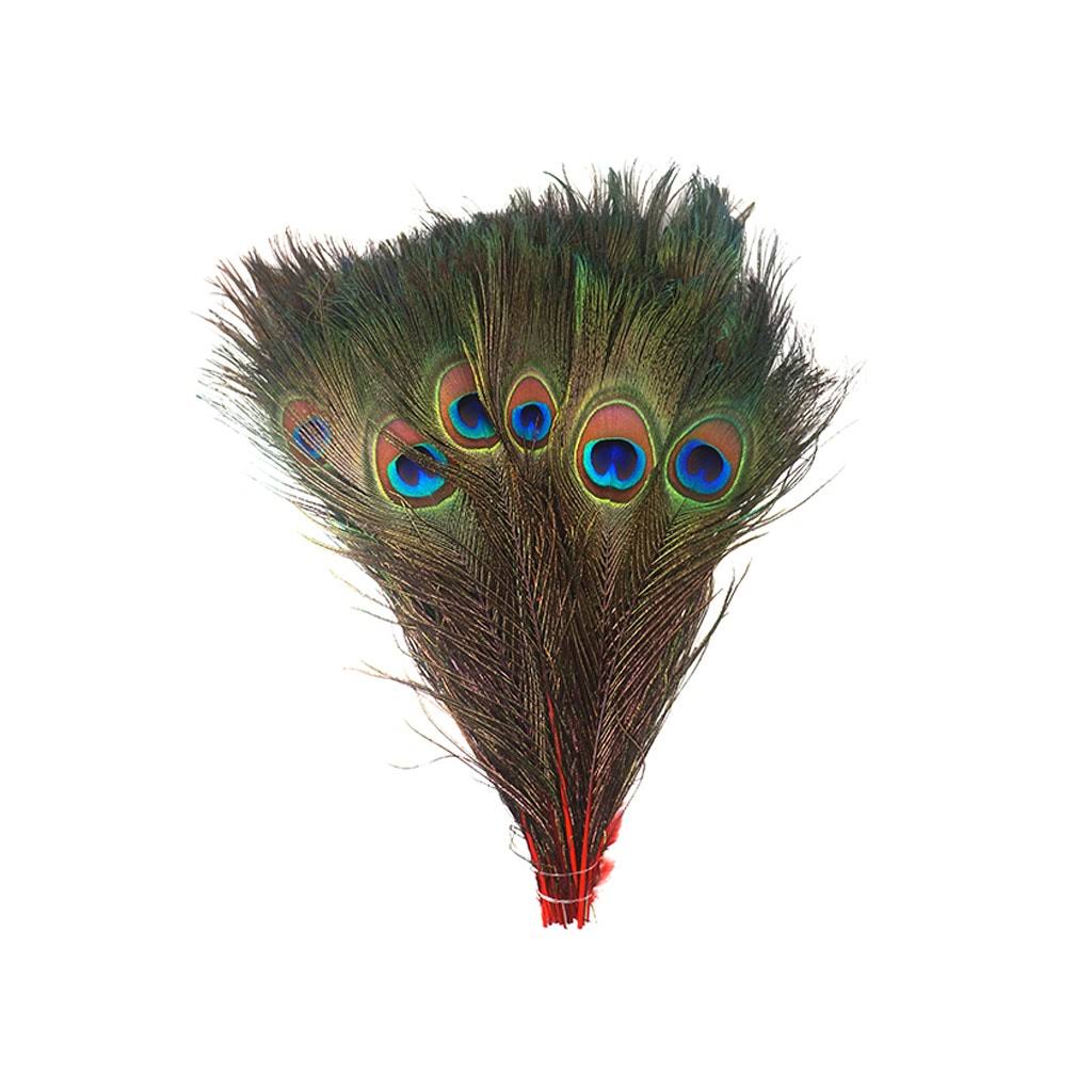 Stem Dyed Peacock Tail Feathers with Full Eyes I5725