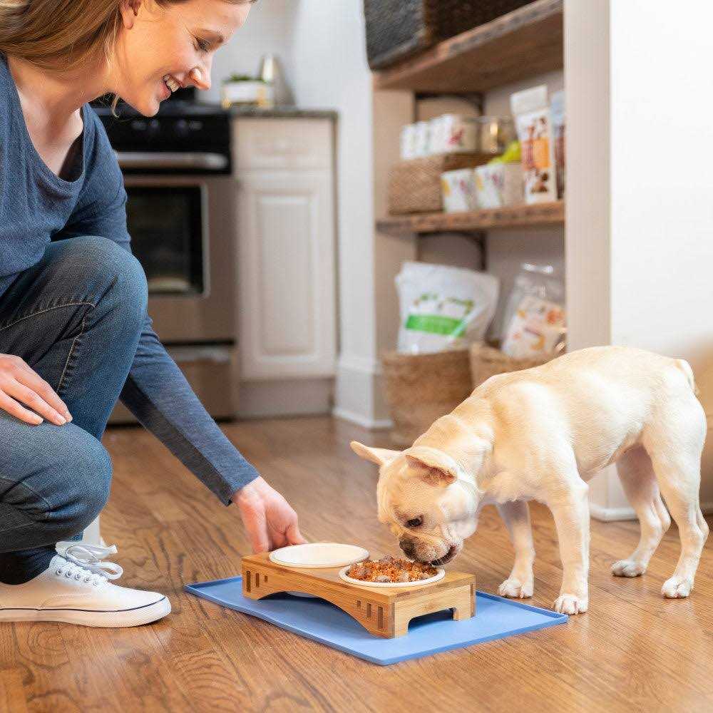 Fine Ground Dog Food E267
