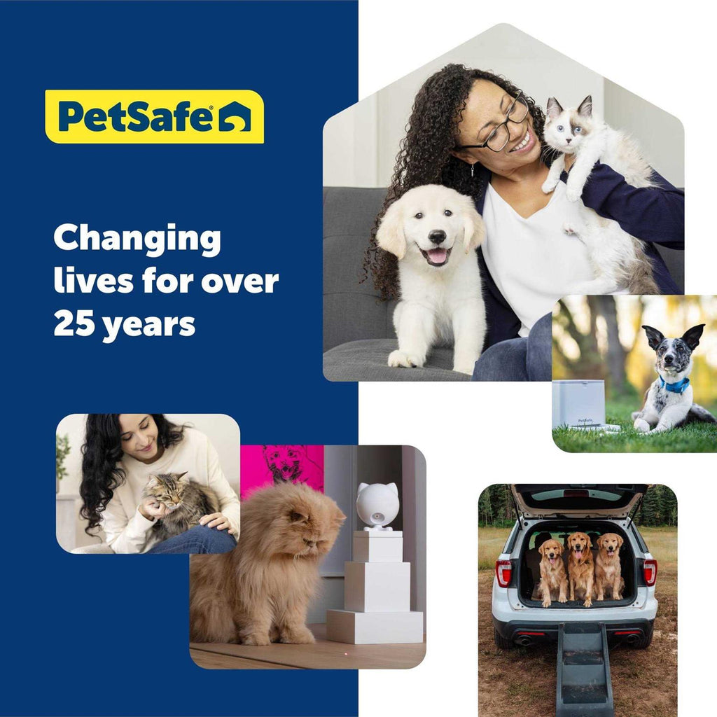 Cat Toy H651