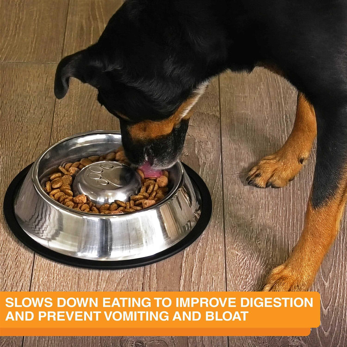 Stainless Steel Slow Feed Bowl Non-Tip & Non-Skid E3836