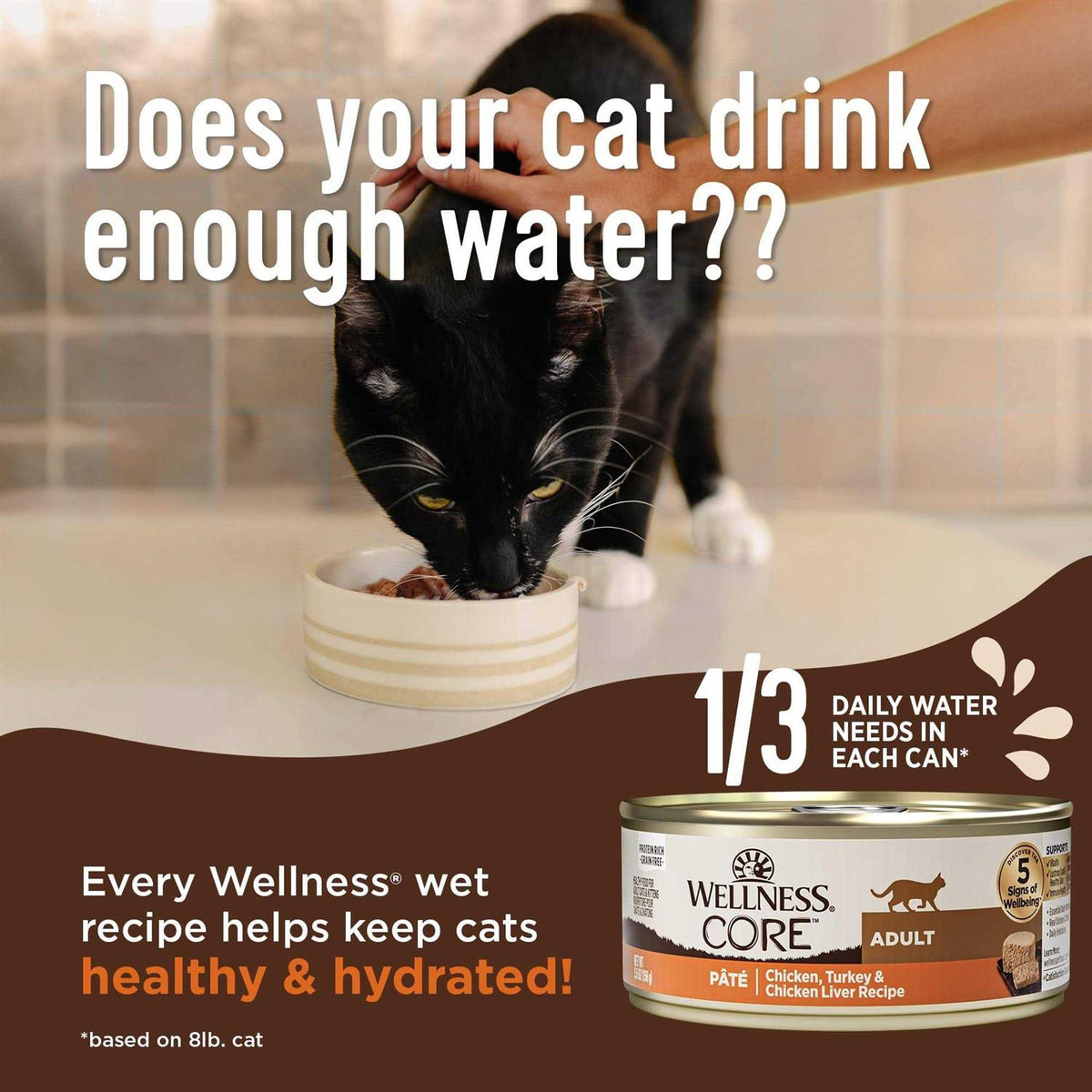 Digestive Health Pate Recipe Wet Cat Food G4192