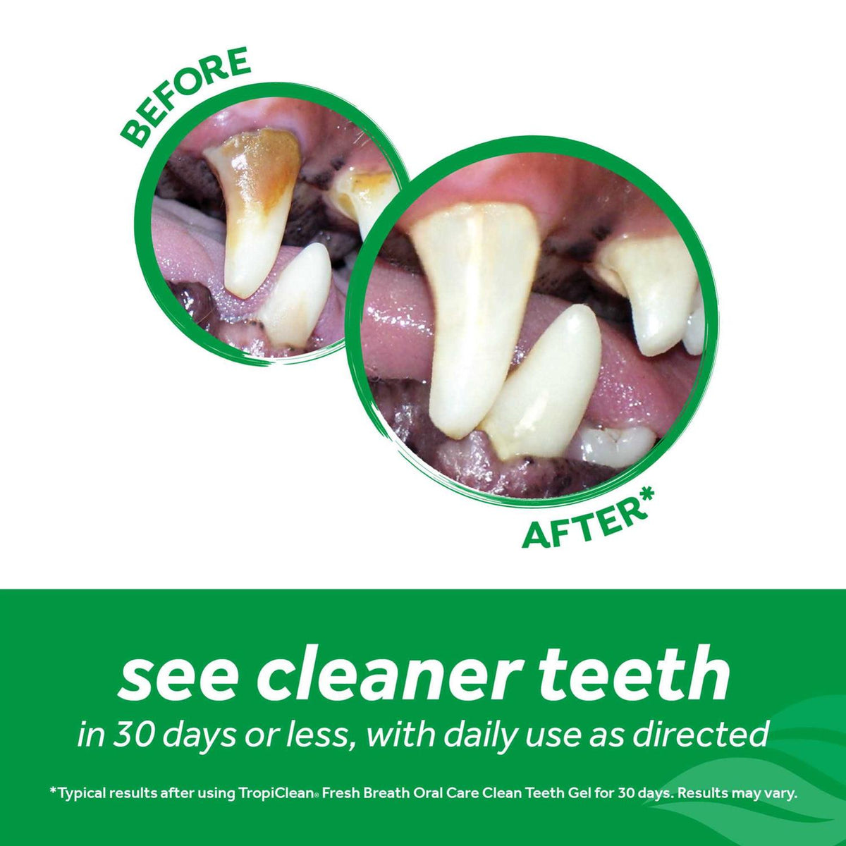 Fresh Breath Clean Teeth Gel for Cats S465730