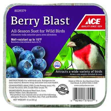 Beef Suet 11 oz L19847