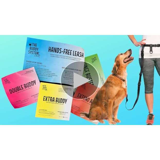Adjustable Hands Free Dog Leash R5475