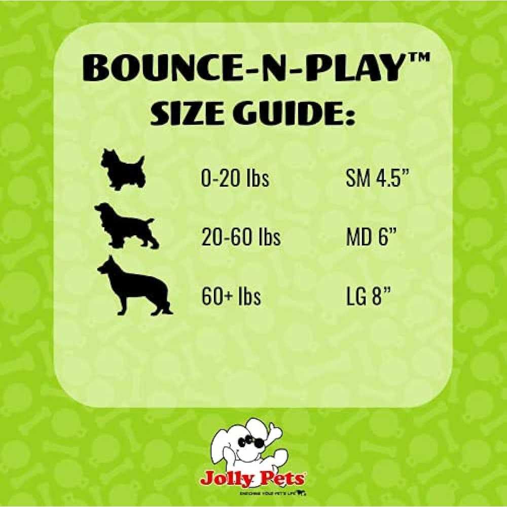 Bounce N Play X377318