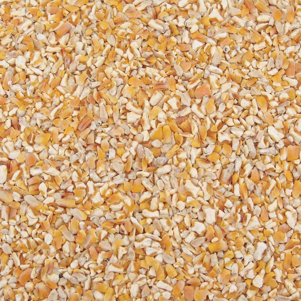Corn L8851