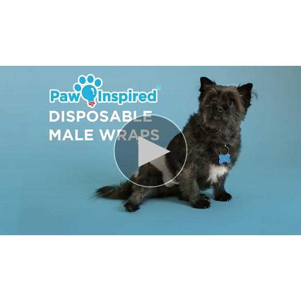 Disposable Belly Band Male Dog Wraps J63112