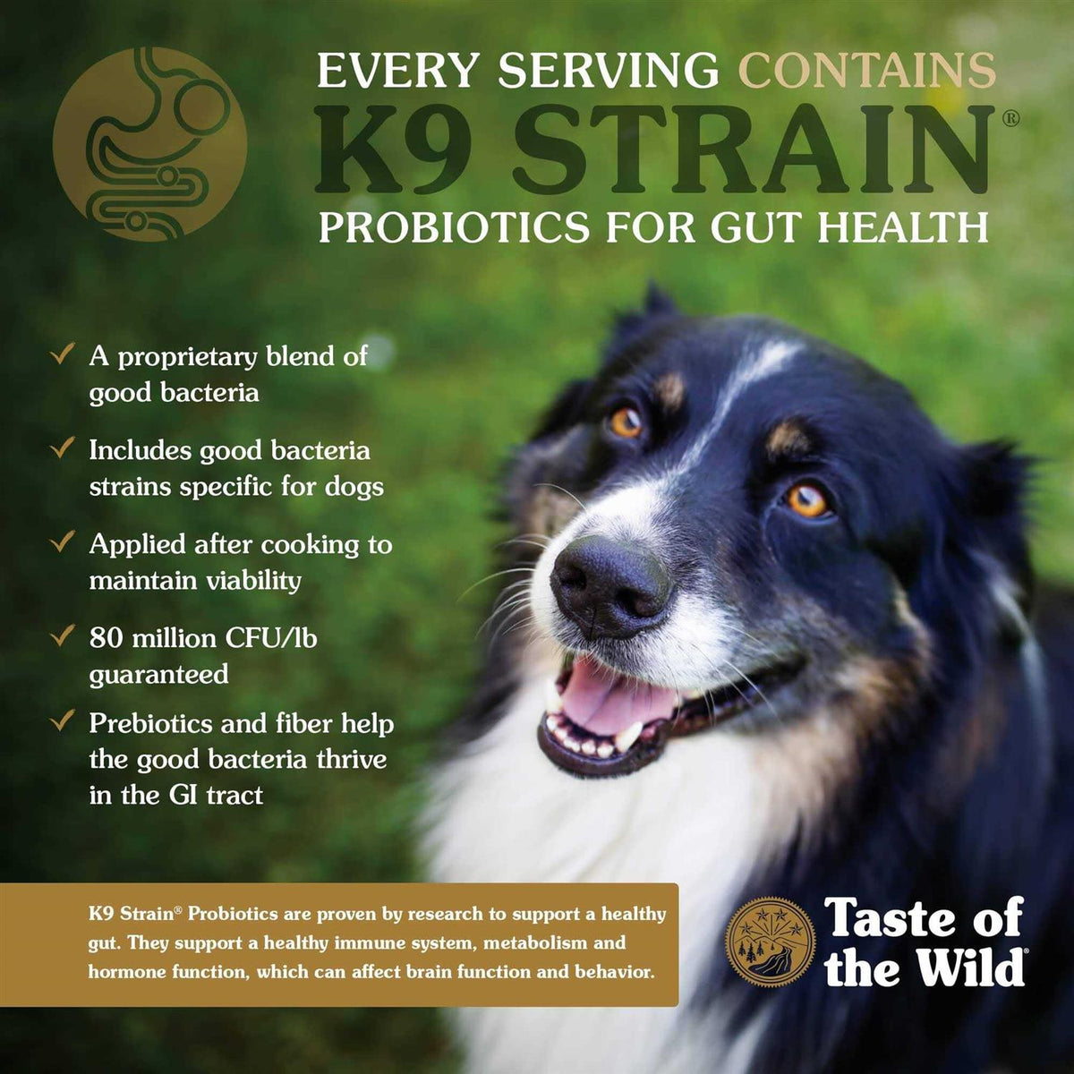 Dog Food E180179