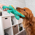 Plush Dog Toy B71759