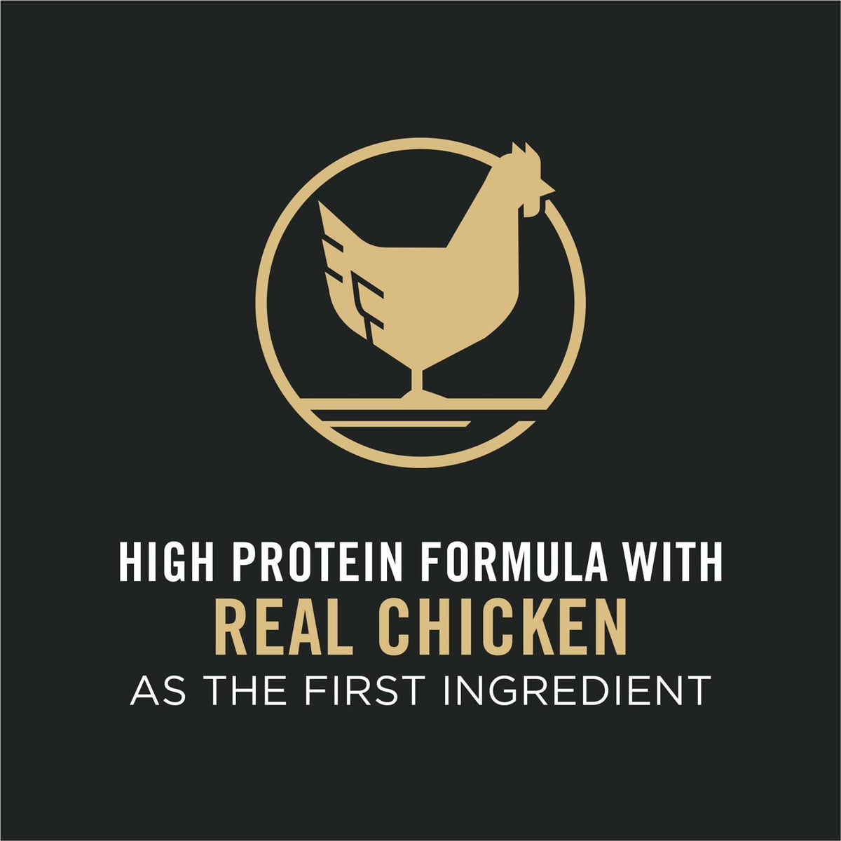 Adult Dog Food Shredded Blend Chicken Rice Formula W369658