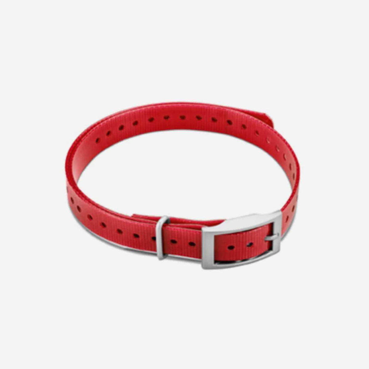 Collar Strap Z317