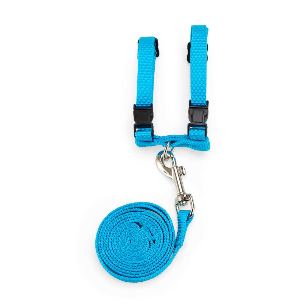 Ferret Harness & Lead A26058