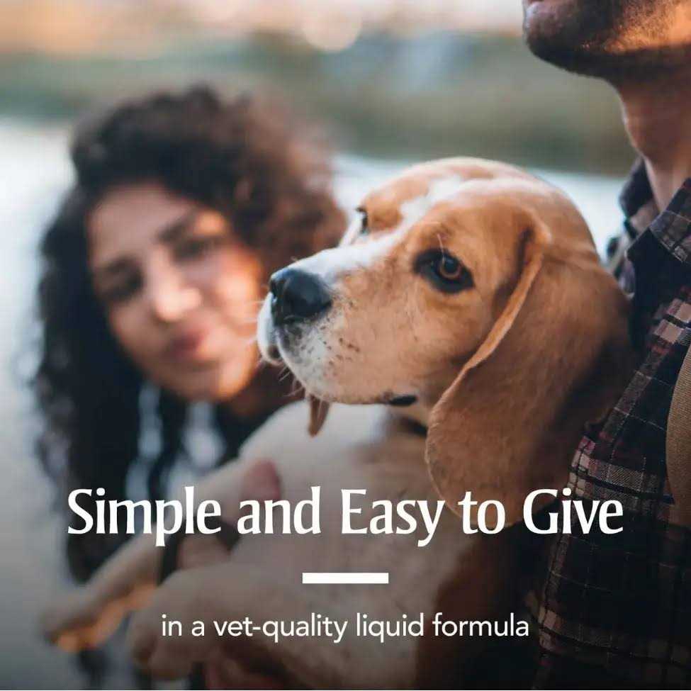 Liquid Wormer for Dogs K3198
