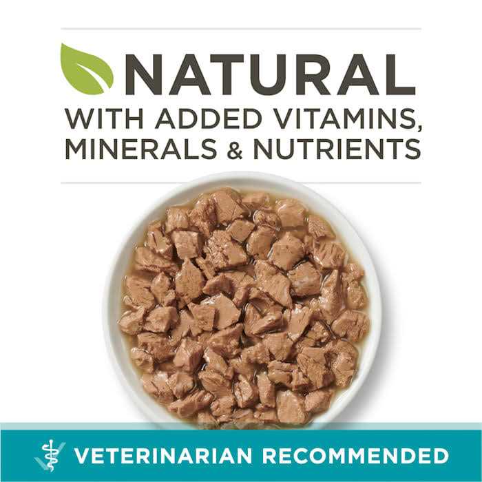 Wet Cat Food W92929