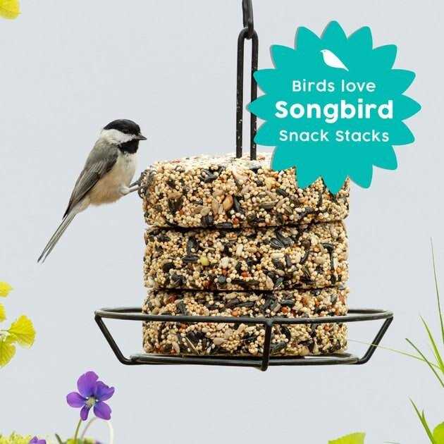 Wild Bird Food G443851