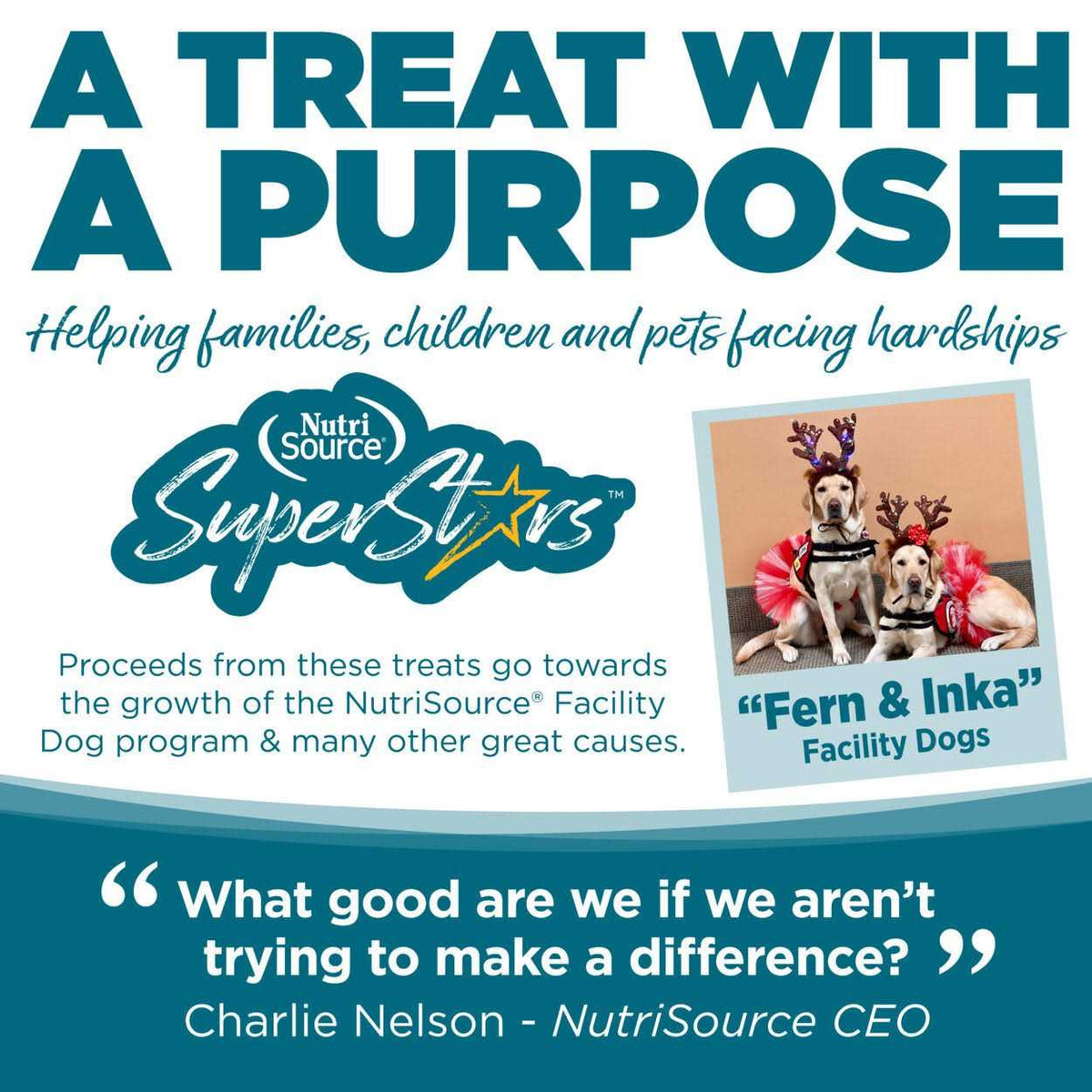 Chicken Dog Training Treats Y46914