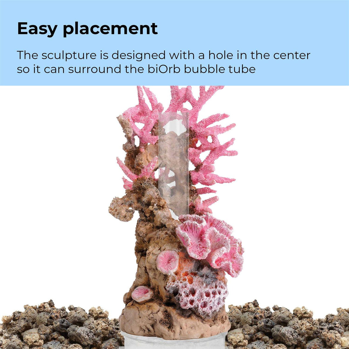 Reef Ornament S81514
