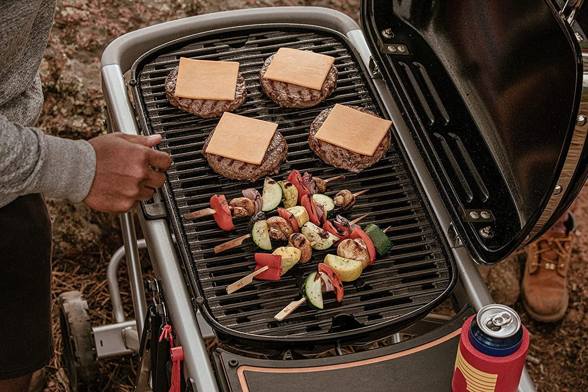Portable Gas Grill O3944