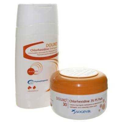 Shampoo 16.9 oz Q38680