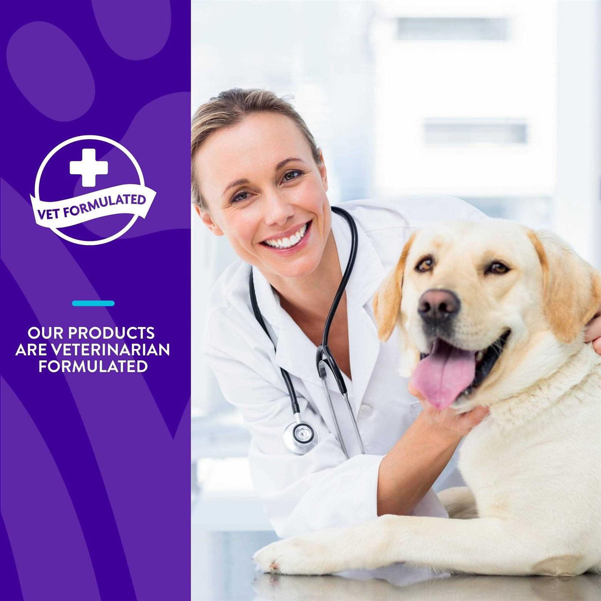 Advanced Allergy Support Soft Chews L44179