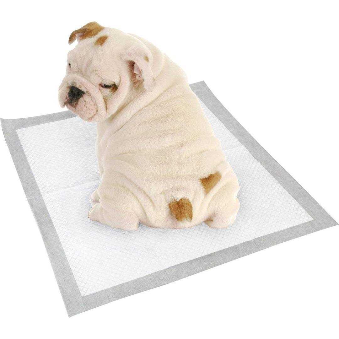 100 Pack Dog Training Pads C531089