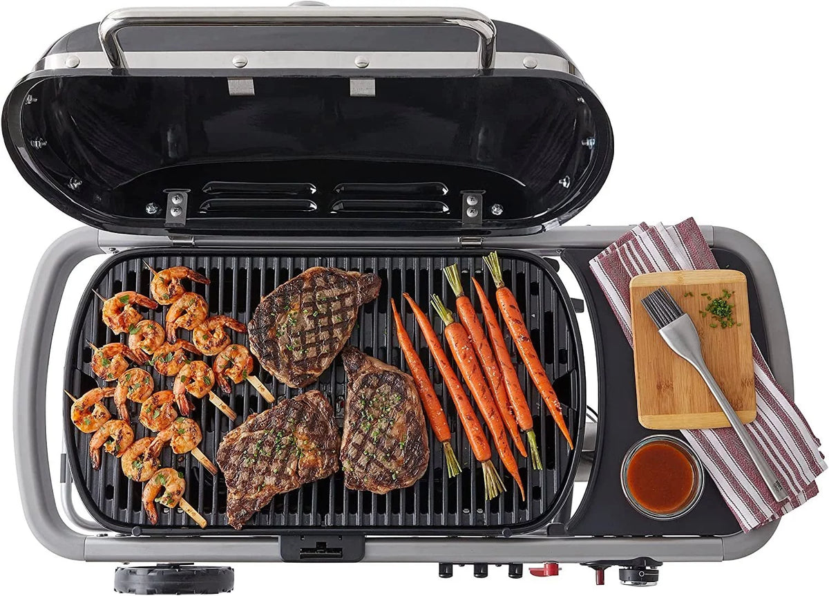 Portable Gas Grill O3944