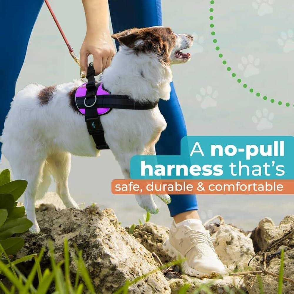No Pull Easy On-Off Dog Harness P681230