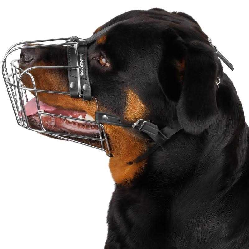 Dog Muzzle Wire Basket Adjustable Leather Straps O574