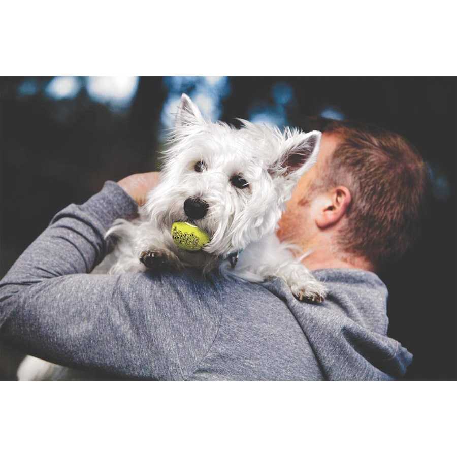 Ball I857427
