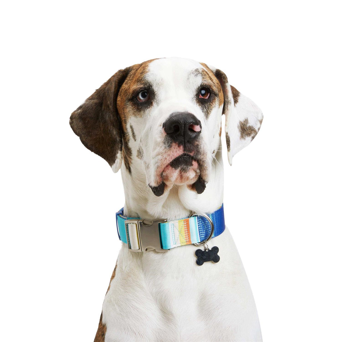 Reflective Dog Collar R990