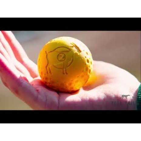 Goat Sport Ball Dog Toy D68684
