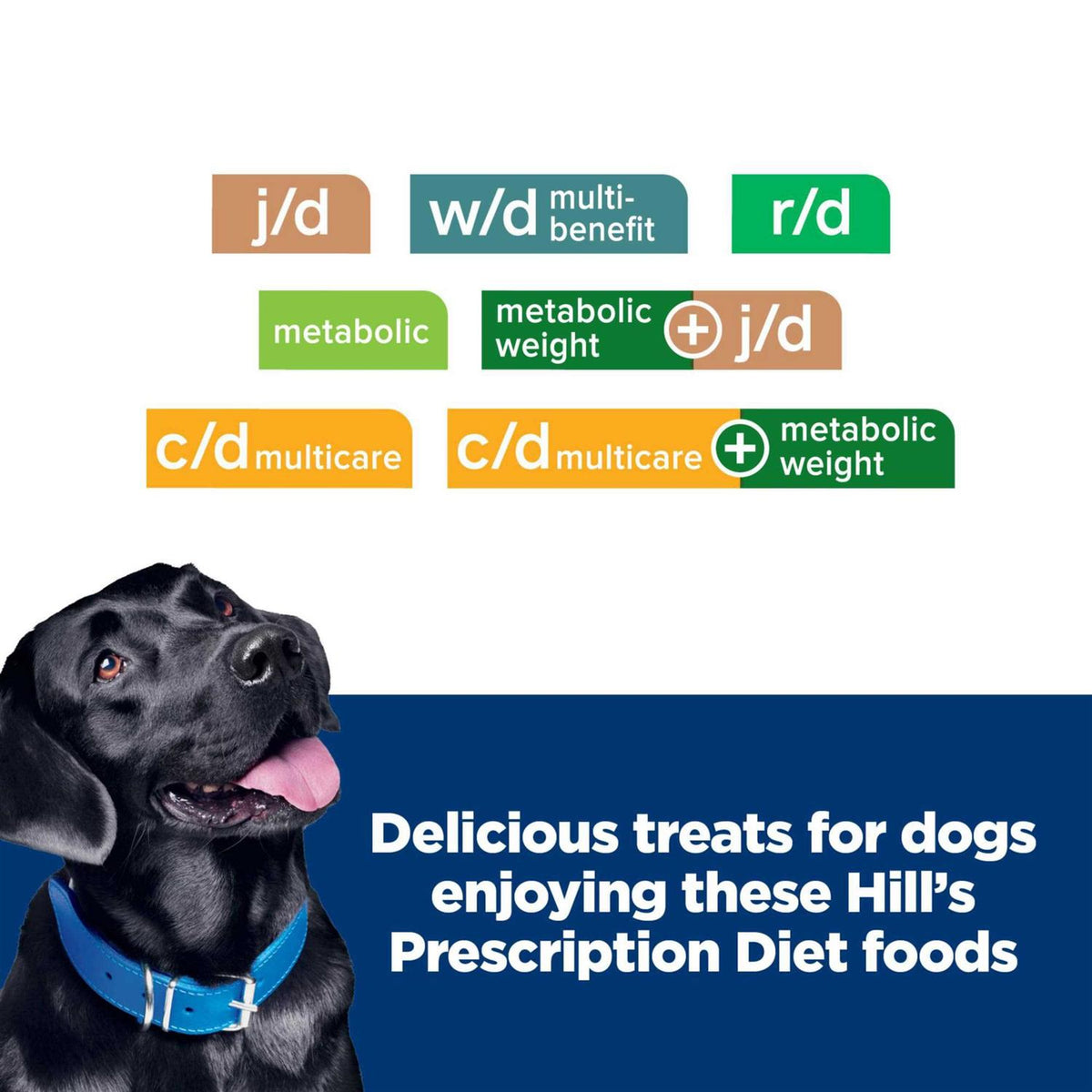 Dog Treats F32752
