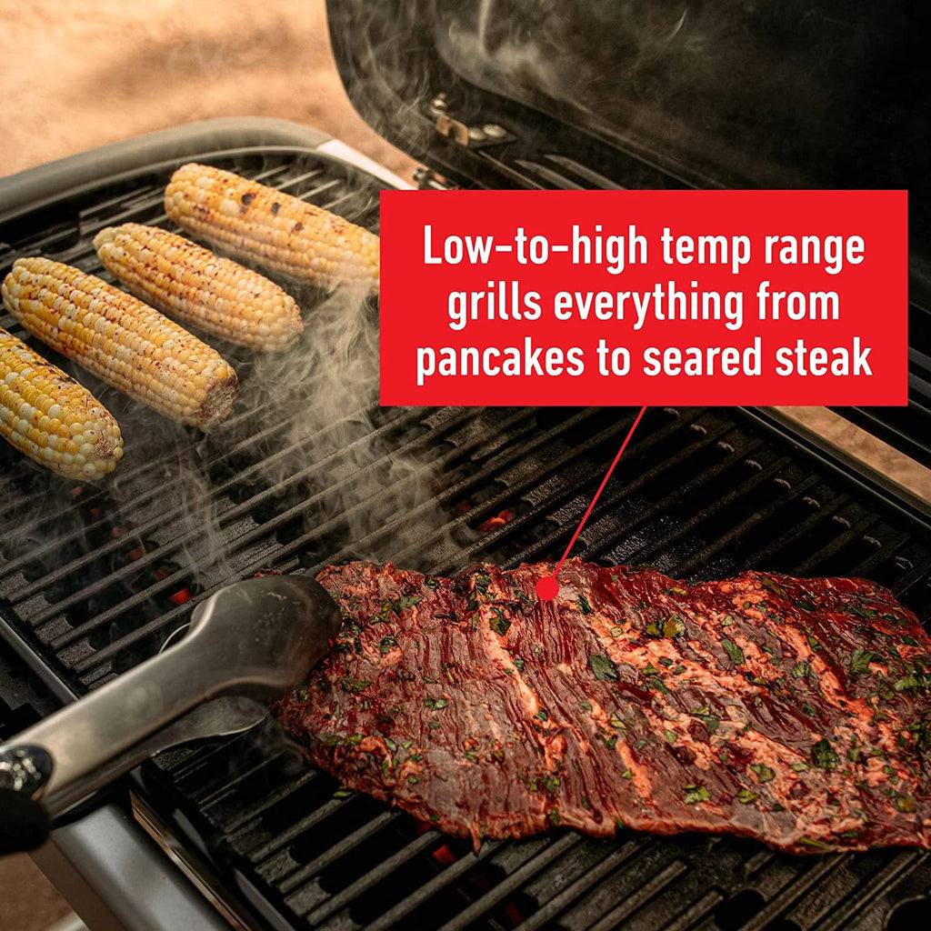 Portable Gas Grill O3944