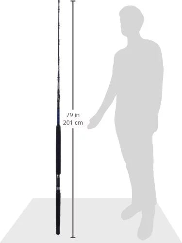 Casting Rod I39857