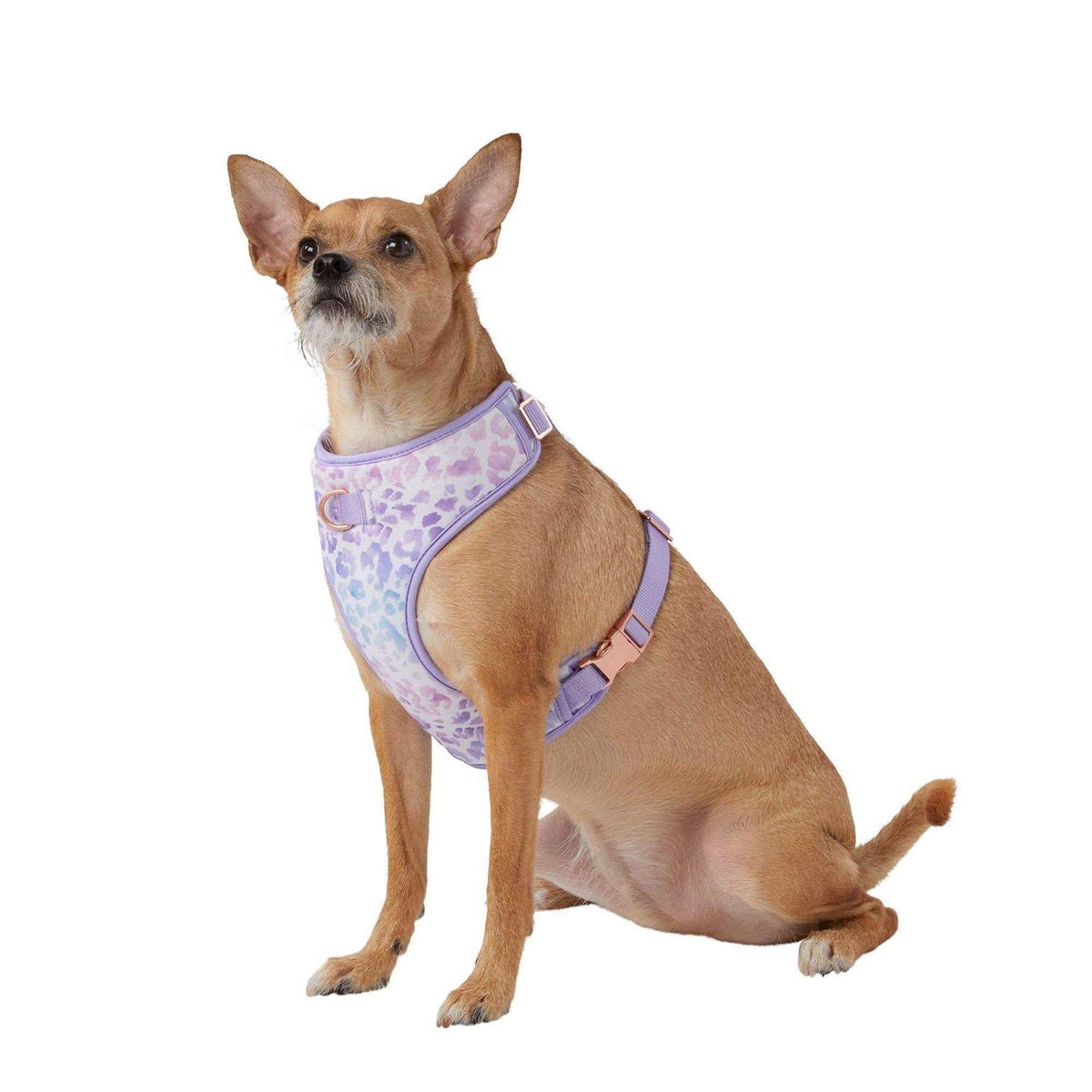 Dog Harness D921505
