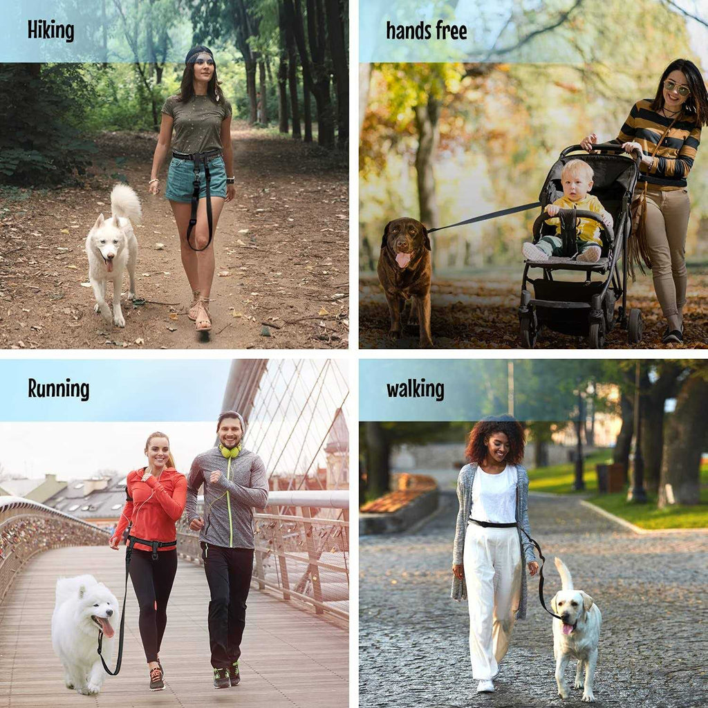 Adjustable Hands Free Dog Leash R5475