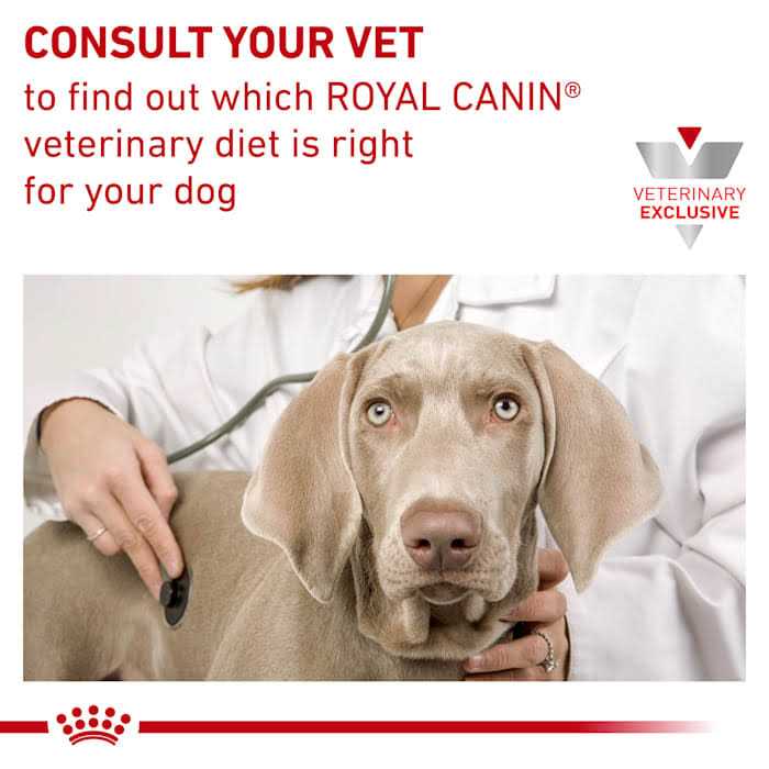 Veterinary Diet Gastrointestinal Low Fat Dry Dog Food E3455