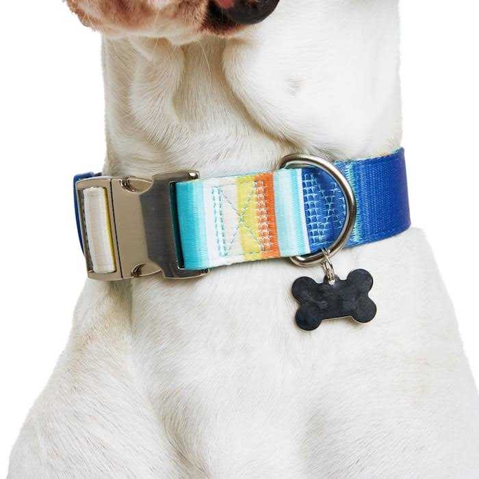 Reflective Dog Collar R990