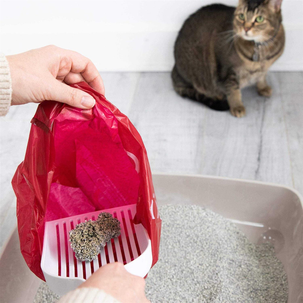 Lavender Scented Leak Proof Cat Litter Disposal Bags M75902