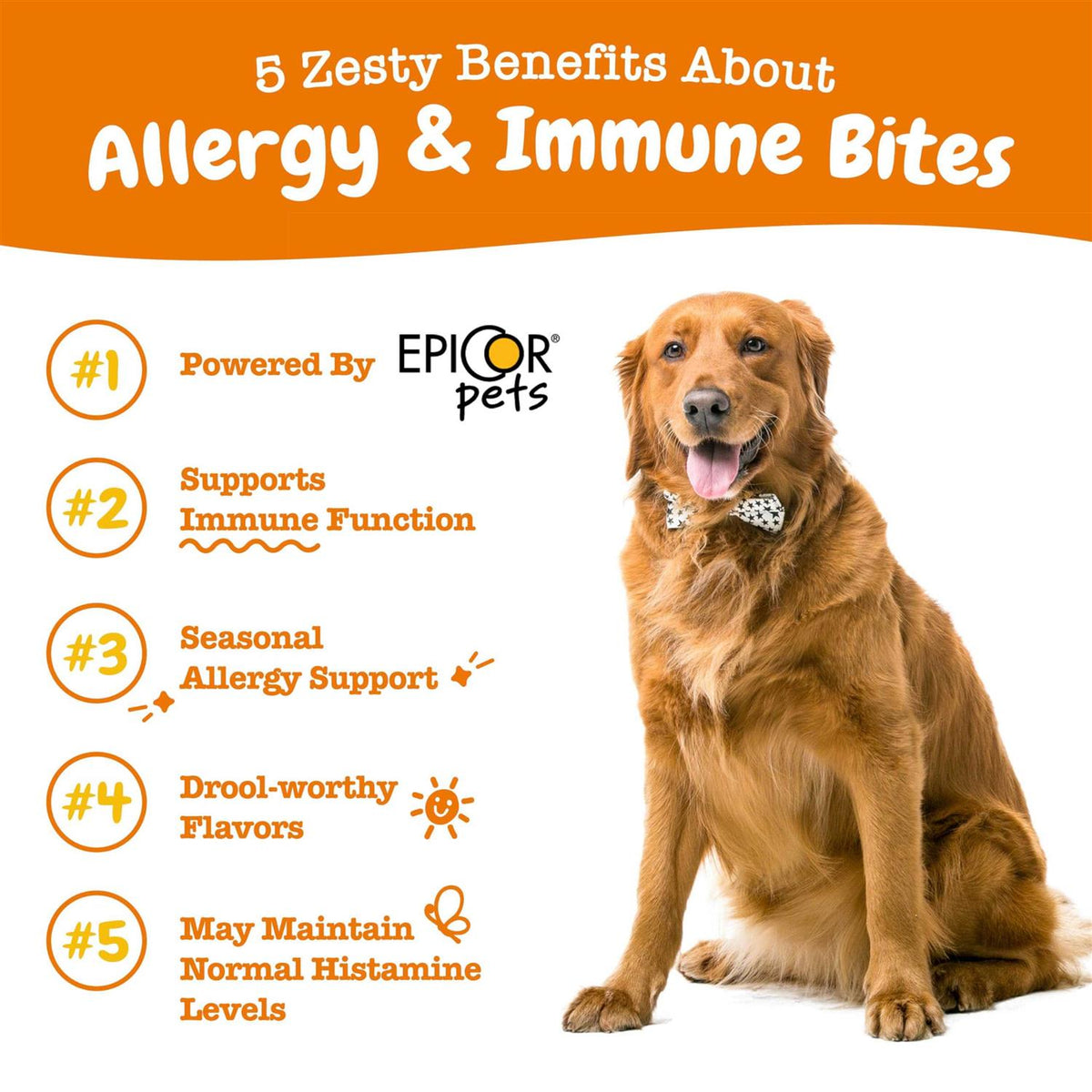 Salmon Allergy & Immune Bites for Dogs T751