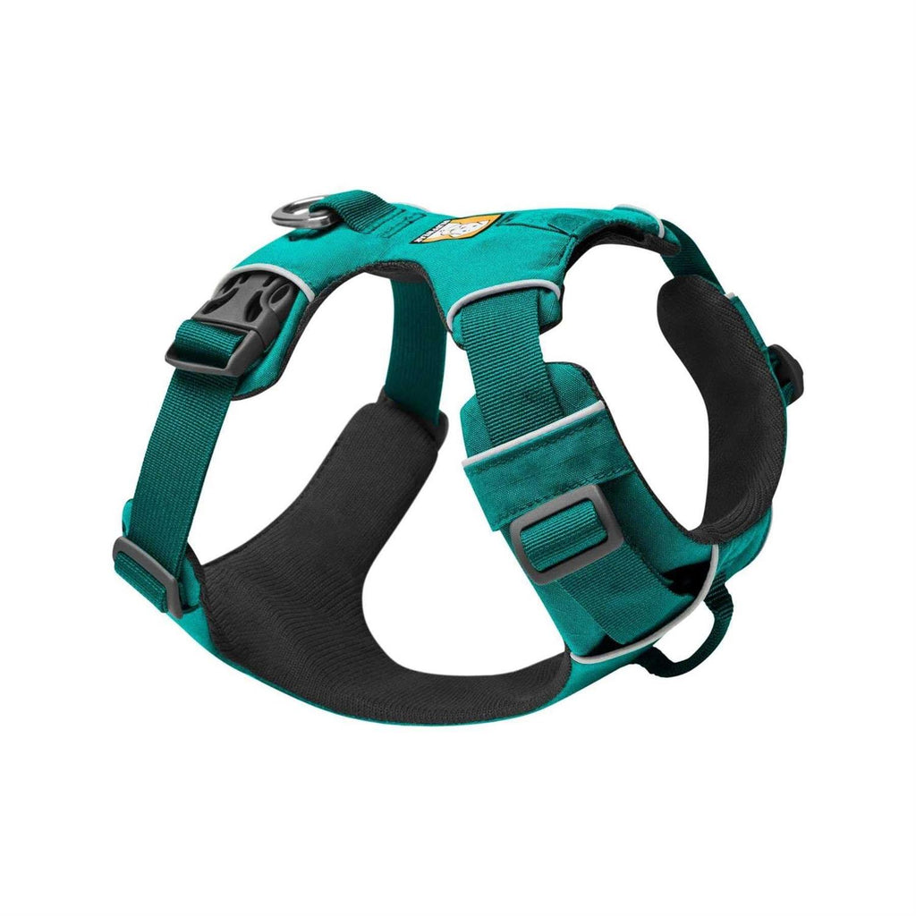 Harness Z16897