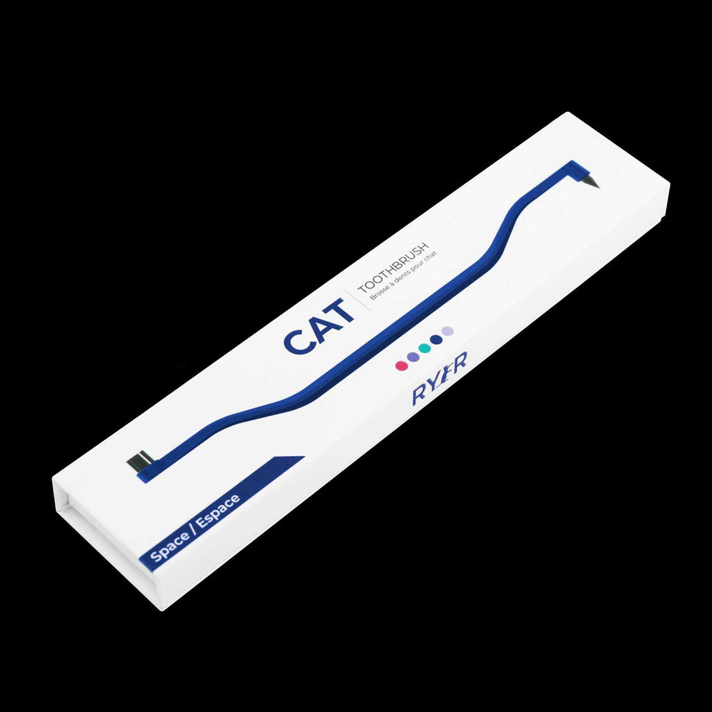 Dual Sided Cat Toothbrush C139572