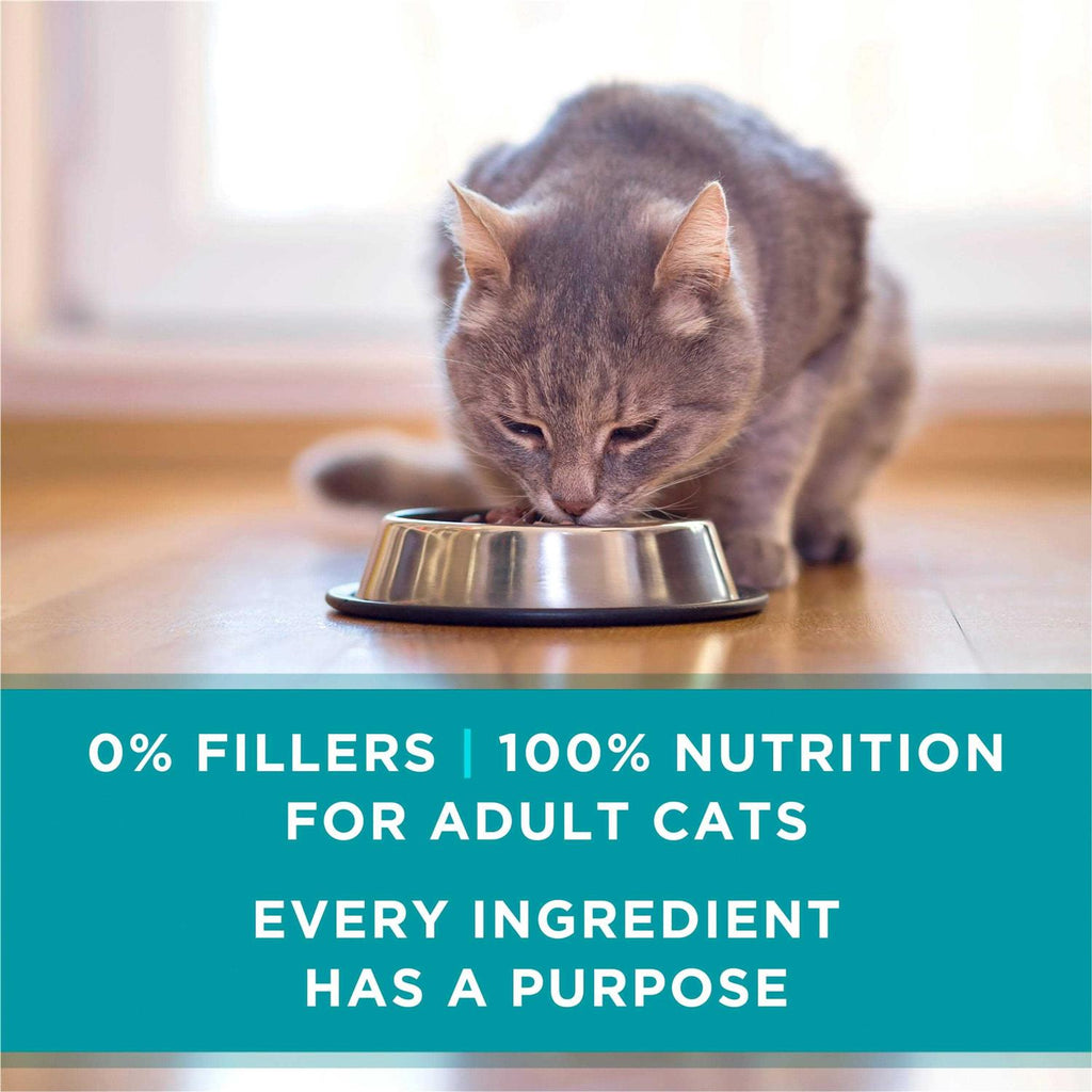 Wet Cat Food W92929